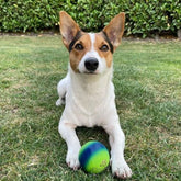 Sportspet ball dog  toy glow in the dark dog ball ball dogs tennis high bounce ball bouncy bouncy ball dog high bounce rubber ball